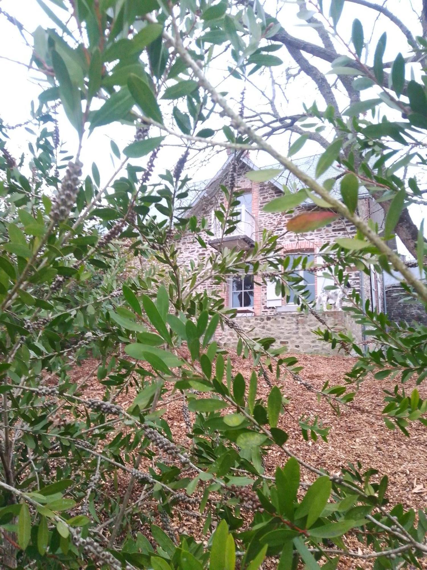 Willa Domaine Le Gaudin - Saint Jean Le Thomas Pokój zdjęcie